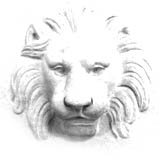 bas_lion